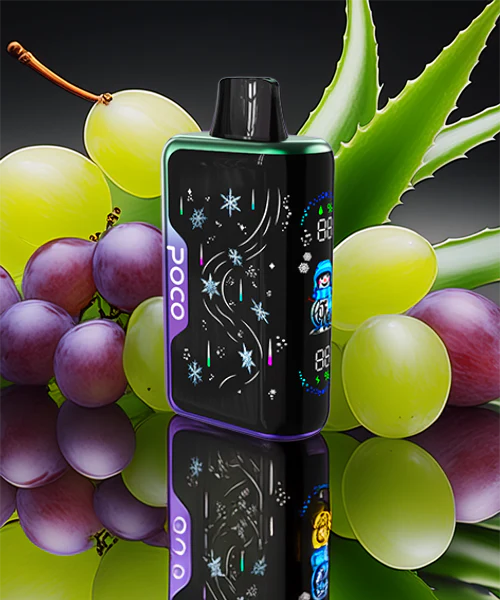 Poco Snowman 70000 – Aloe Grape 5%